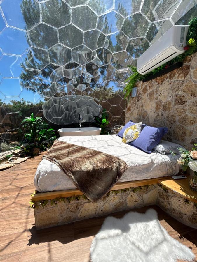 Skd Suite Garnacha Авила Экстерьер фото