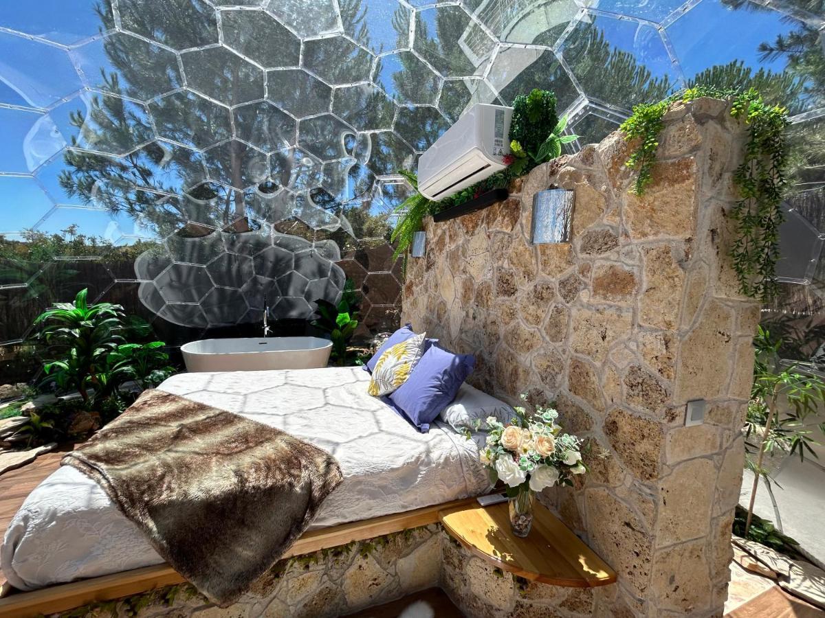 Skd Suite Garnacha Авила Экстерьер фото